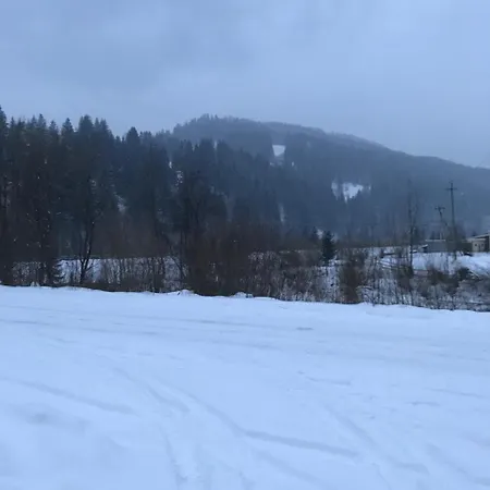 ресторан-готель міжгір'я